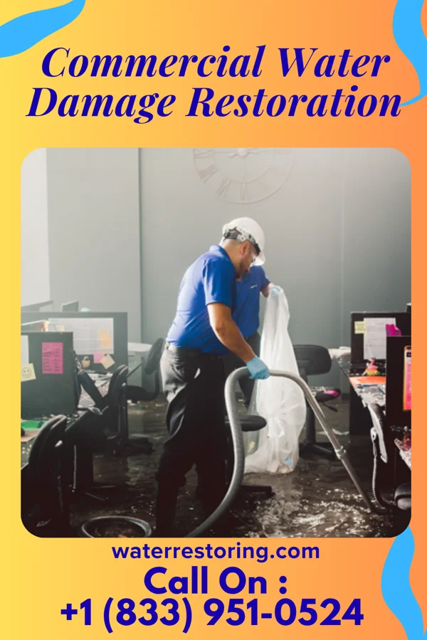 Commercial Water Damage Restoration in Mondovi, WI