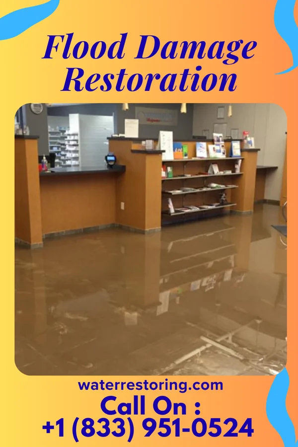 Flood Damage Restoration in Mondovi, WI