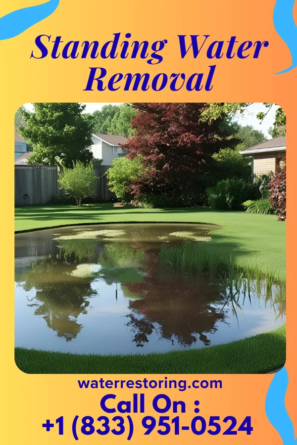Standing Water Removal in Mondovi, WI